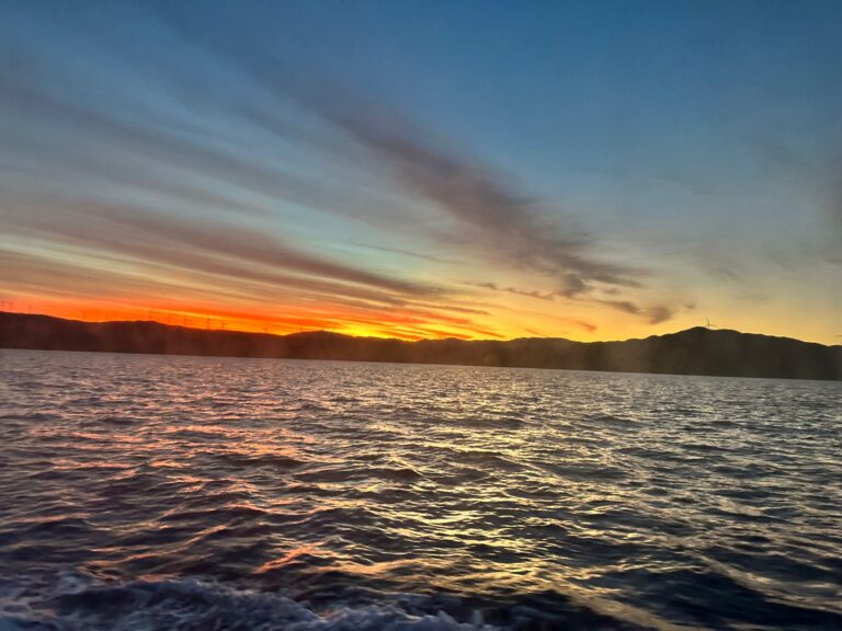 WhatsApp Image 2026-03-10 at 18.11.34 (1)