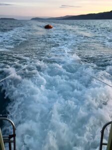 WhatsApp Image 2026-03-10 at 18.11.34